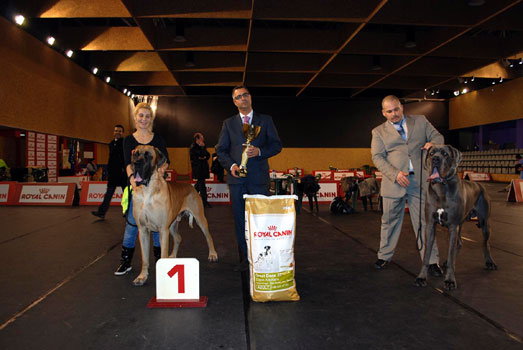 Zapatero Della Baia Azzurra